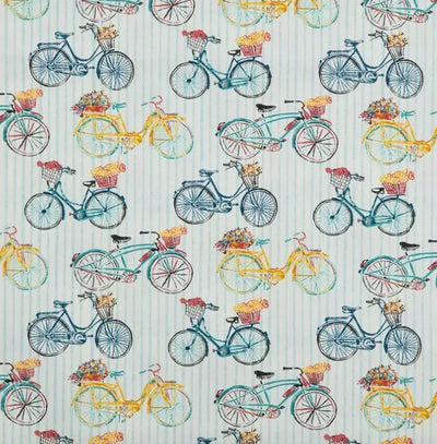 Bicycle Ride