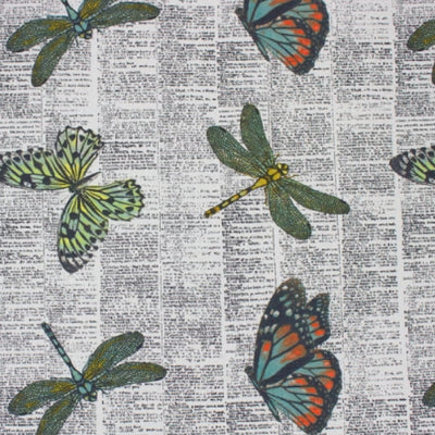 Dragonfly Newspaper