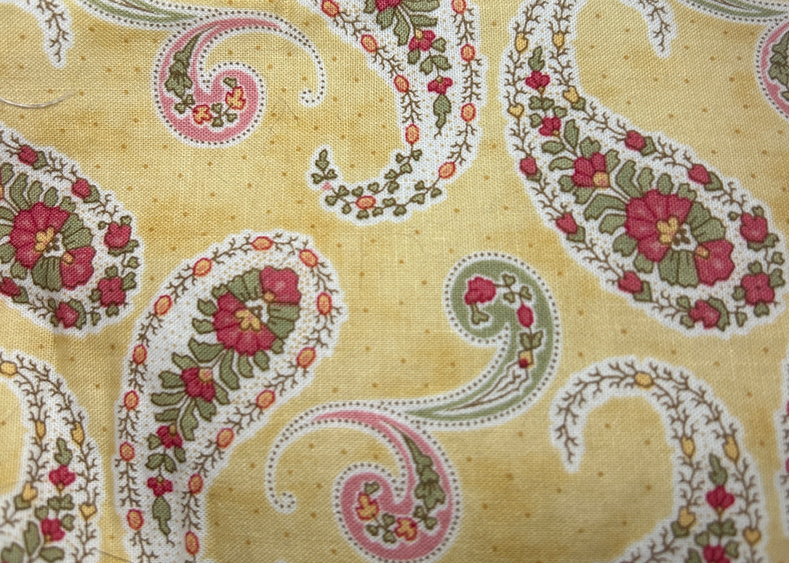 Peachy Paisleys on Buttery Yellow Cosmetic Zipper Pouch