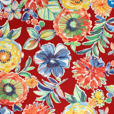 Tropical Blooms